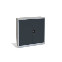 Büroschrank für Dokumente, 2 Fachböden, DOCUCAB CH 1000/1000/420 GY