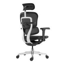 Exklusiver Bürostuhl, OFFISEAT AN EXCLUSIVE BK