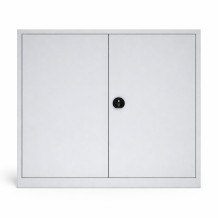Archivschrank mit 2 Fachböden, DOCUCAB H 1000/1200/420 GY