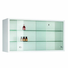 Medikamenten-Hängeschrank mit Glastüren, WALLCAB M 500/1000/250 9010
