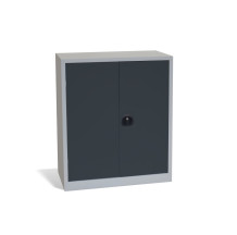 Büroschrank mit 2 Fachböden, DOCUCAB H 1000/800/420 GY