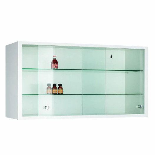 Medikamenten-Hängeschrank mit Glastüren, WALLCAB M 500/1000/250 9010