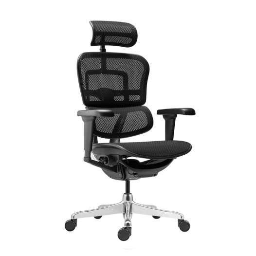 Exklusiver Bürostuhl, OFFISEAT AN EXCLUSIVE BK