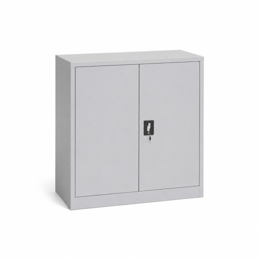 Büroschrank für Dokumente, 2 Fachböden, DOCUCAB CH 1000/1000/420 GY