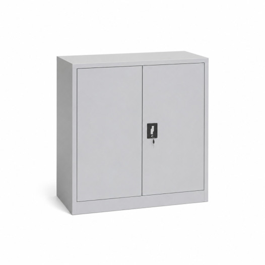 Universeller Werkstattschrank mit 2 Fachböden, 1000/1000/420 mm